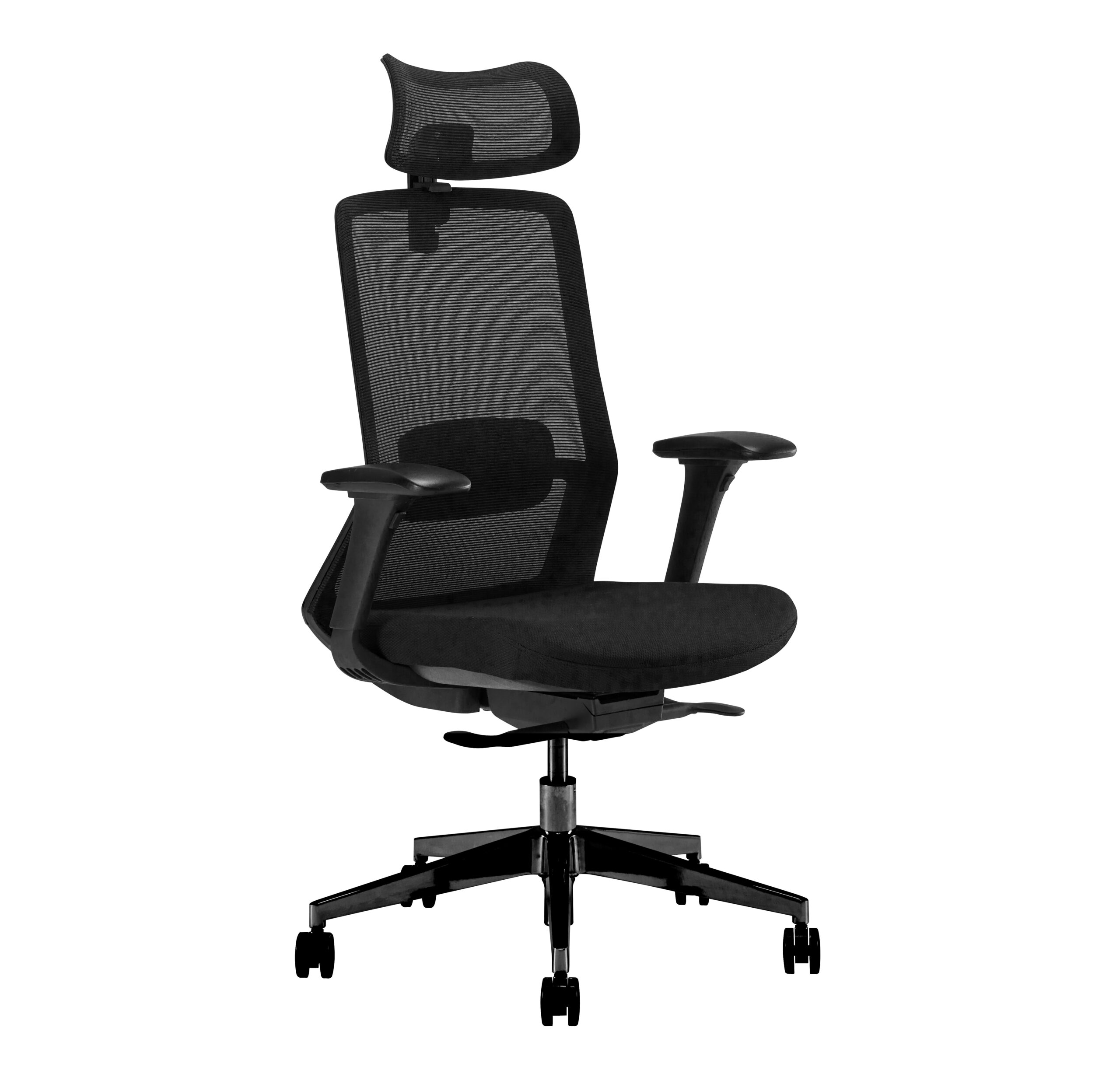 Avatar – With Head Rest